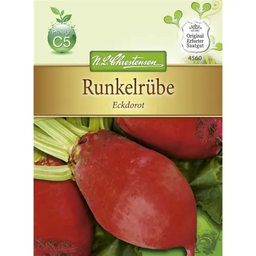 Runkelrübe Eckdorot Futterrübe Typ Rote Walze Rübe