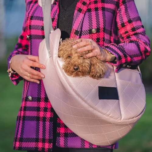 Hundetasche Welpentasche Tragetasche für kleine Hunde & Katzen – BoutiqueZOO – 43×20×25 cm – bis 6 kg