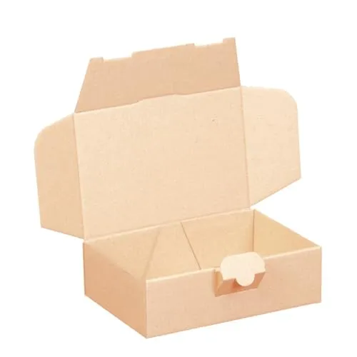 Maxibriefkartons 160 x 110 x 50 mm BRAUN Maxibrief Karton Faltschachtel stabil Versandkarton für Post DHL Versand DIN A6 Warensendung Büchersendung Versandschachtel mit Steckverschluss (50)