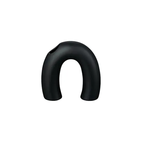 Vasen Schwarz von Blomus