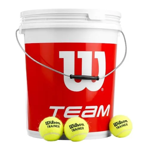 Wilson Tennisbälle Team W Trainer