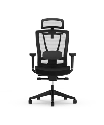 Flexispot Ergonomischer Bürostuhl BS14 mit dynamischem Sitzsystem