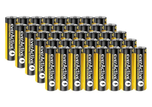 Everactive Industrial AA Mignon Batterien 2700 mAh 1,5 V HR06 Alkaline 40 x
