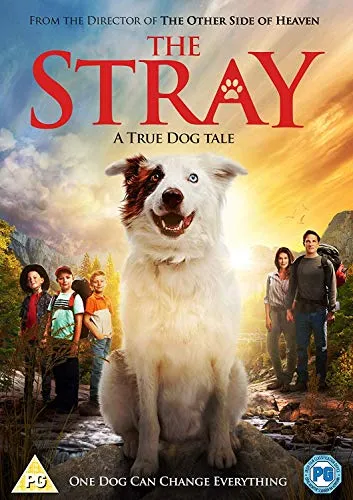 The Stray (DVD) [2018]
