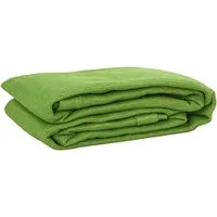 vidaXL Zeltteppich mit Ösen, Campingteppich in Hellgrün