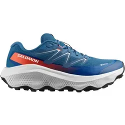 Salomon Ultra Flow 2 Gore-Tex Herren Wanderschuhe in blau von Salomon