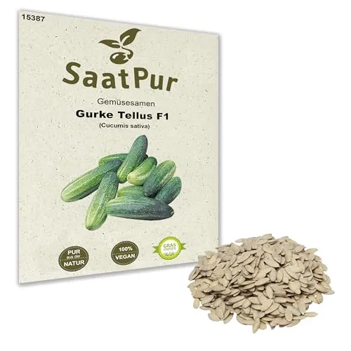 Einlegegurke Tellus F1 rein weibliche Samen Gurkensamen Gurkensaat für ca. 20 Pfl. Grün