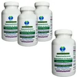 Immunstark 720 Pulver Kapseln nach Hildegard von Bingen - Natürliche Kapseln mit Kapuzinerkresse, Meerrettich und Acerola für die tägliche Unterstützung des Wohlbefindens. Ohne Zusatzstoffe, ideal für eine bewusste Ernährung.