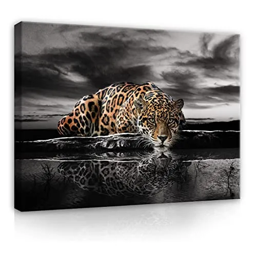 WallArena - Leinwand Bilder - Tiger Tiere Safari Afrika Natur - 100x75 cm Leinwandbilder - Bild auf leinwand - Wandbild XXL groß Wandbilder für Wohnzimmer Schlafzimmer Wohnzimmerbilder Modern