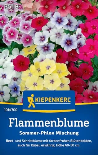 Kiepenkerl Flammenblumensamen Sommer-Phlox Mischung 1014700 - Einjährige Blume mit einer Wuchshöhe von 40 bis 50 cm und einem Inhalt für 80 Pflanzen - Blumensamen, Saatgut