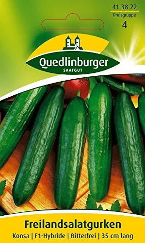Freilandsalatgurke Konsa F1 von Quedlinburger