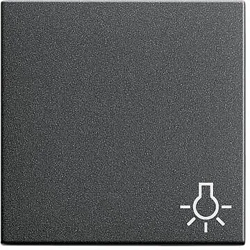 Gira 28528 Wippe Symbollicht Anthrazit