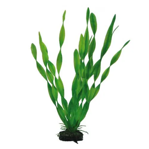 Hobby Vallisneria 34cm Aquariendekoration Vallisnerie Dekopflanze Aquarien Deko