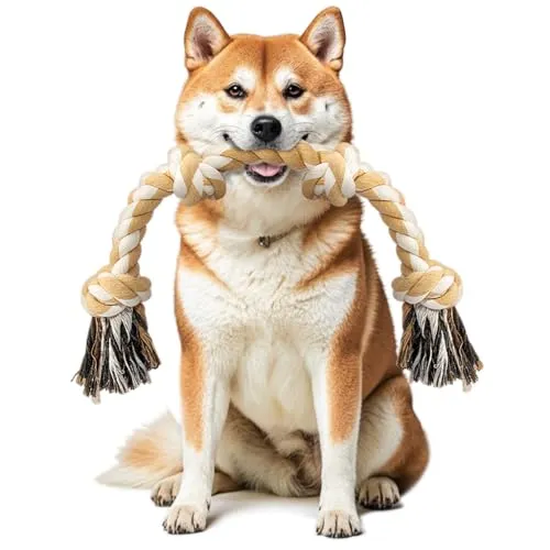 Ycozy Hundespielzeug für mittelgroße und kleine Hunde, 66 cm, 4 Knoten, Hundeseil für Aggressive Kauer, Welpen, Hundespielzeug, Fast unzerstörbar, Kauspielzeug, natürliche Baumwolle