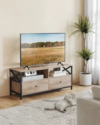 VASAGLE Lowboard Fernsehtisch mit 2 Schubladen und 2 Fächern, 120cm breit