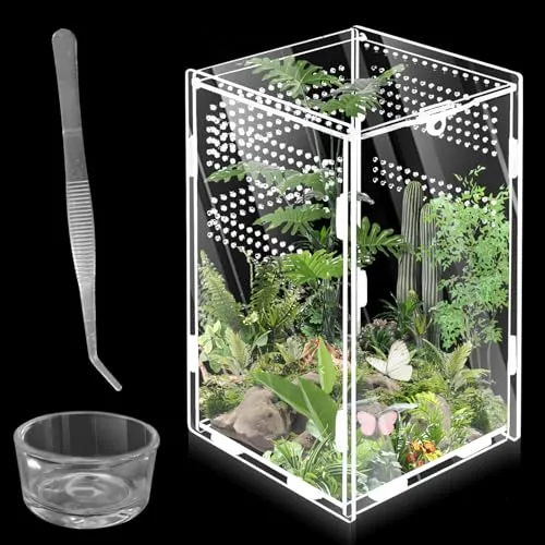 WIYETY Mini Transparent Acryl Terrarium für Reptilien - Terrarium für Reptilien & Amphibien, 360-Grad-Ansicht, robust und ungiftig, ideal für kleine Haustiere wie Spinnen und Skorpione.