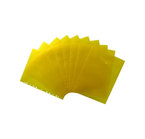 EXXO by HFP Organisationsmappe Dokumententaschen A4, aus PP (10-St), zum Abheften mit EURO-Lochung, Abheftrand, Klappe und Klettverschluss