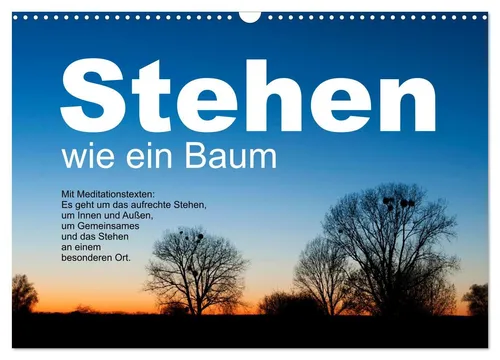 Stehen wie ein Baum (Wandkalender 2026 DIN A3 quer) - Kalender für 2026 mit inspirierenden Baum-Motiven, die zum Durchhalten motivieren. Ideal für Naturfreunde und als Geschenk!