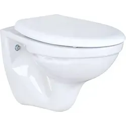 Belvit Wand Hänge Wc Abgang Wand Waagerecht Mit Softclose Deckel 520x360x375 Cm