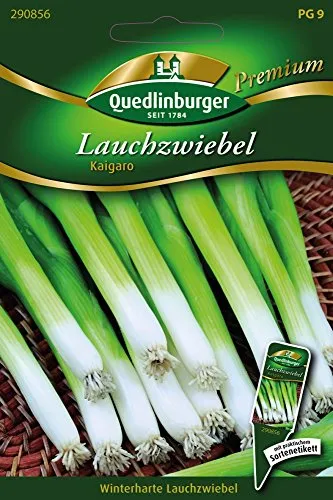 Lauchzwiebeln Kaigaro von Quedlinburger Saatgut