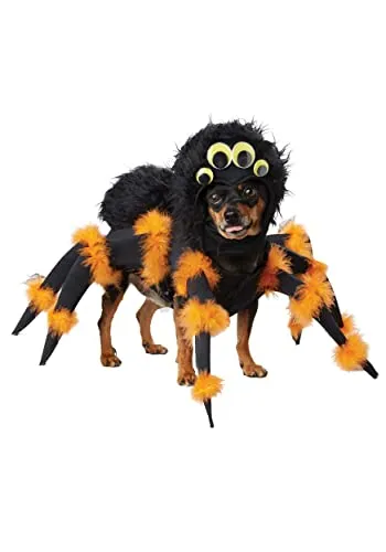 California Costumes PET20149 Spinnenkostüm für Hunde, XS