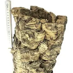 EKB-Kork Korkrinde 100cm - Naturprodukt für Terrarien - Zubehör für Terrarien, schützt vor Feuer, Hitze, Kälte und Feuchtigkeit. Ideal als Dekoration und Lebensraum für Tiere.