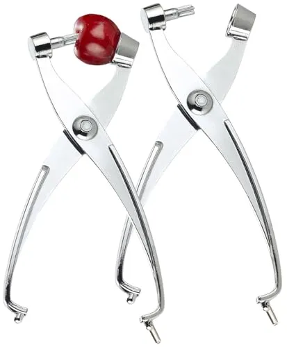 Rosenstein & Söhne Kirschen Entkerner: 2er-Set 2in1-Kirschentkerner-Zange & Olivenentkerner aus Vollmetall (Entkerner-Zange, Kirsch und Olivenentsteiner, Salat)