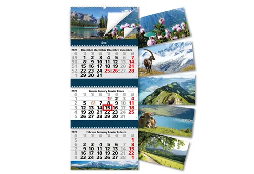 Timr Wandkalender 3-Monatskalender 2025 mit Spiralbindung und Bilder-Block