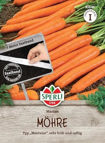 Sperli Möhrensamen Marion, F1, Saatband 81646 – Typ 