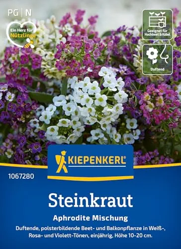 Kiepenkerl Steinkrautsamen Aphrodite Mischung 1067280 – Duftende, polsterbildende Beet- und Balkonpflanze in Weiß, Rosa und Violett - Pflanzen, Blumensamen, Saatgut