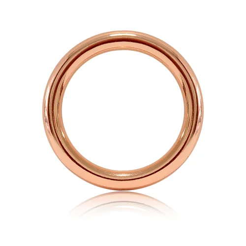 O - Ring aus Druckguss, 5er Set, DIY Hunde-Leine/Hunde-Halsband, nichtrostend