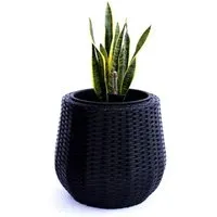 Elegant Einrichten Pflanzkübel Polyrattan Rund-Konisch Schwarz D52xH44cm - Dieser stilvolle Pflanzkübel aus robustem Polyrattan in Schwarz ist ideal für dekorative Akzente im Außenbereich. Mit cleverem Bewässerungssystem sorgt er für optimale Pflege Ihrer Pflanzen. Wetterfest und frostsicher!