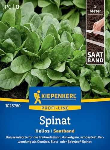 Kiepenkerl Profi-Line Spinatsamen Helios 1025760 - Universalsorte für die Freilandsaison, Inhalt für 5 lfd. Meter und einer Wuchshöhe von 10 bis 20 cm - Saatband, Pflanzen