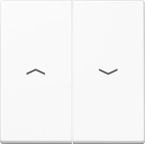 Jung Wippe Symbole Pfeile 2-f A 595 BF P WW A595BFPWW