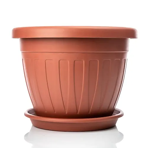 Blumentöpfe & Pflanzgefäße aus Terracotta von BigDean
