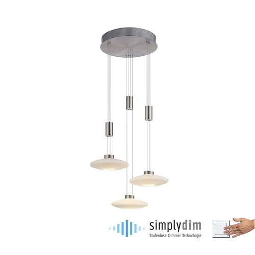 Pendelleuchte dimmbar LED 3-flammig, höhenverstellbar in grau von Paul Neuhaus