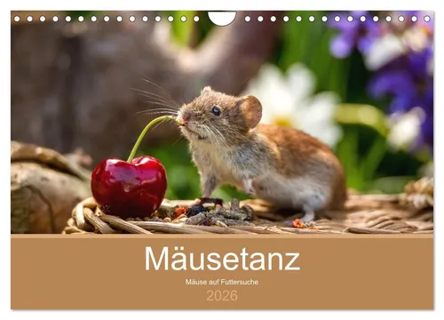 Mäusetanz (Wandkalender 2026 DIN A4 quer), CALVENDO Monatskalender