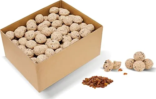 Frucht-Meisenknödel ohne Netz - 100 Stück - Futterknödel mit je 90 Gramm für Wildvögel, ideal zum ganzjährigen Füttern und zur Unterstützung der Vogelpopulation in Ihrem Garten.