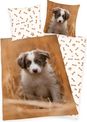 Bettwäsche Set mit Hund Welpe 135 x 200 cm - Bettwäschegarnitur aus 100% Baumwolle mit Öko-Tex Standard, ideal für Tierliebhaber und sorgt für einen kuscheligen Schlafkomfort.