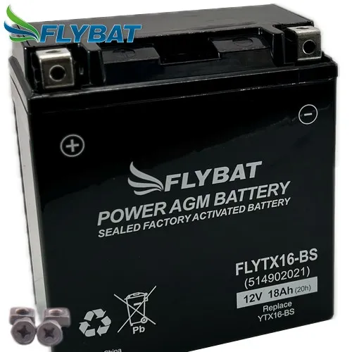 Batterie für Kawasaki VN 1700 D 2015 FlyBat FLYTX16-BS / YTX16-BS AGM geschl.