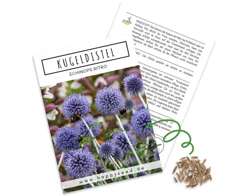 HappySeed Blumensamen Kugeldistel Samen - Echinops ritro, Blumen