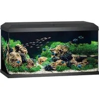 Juwel Aquarium Primo 110 LED 2.0 in schwarz von JUWEL Aquarium