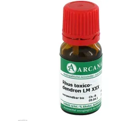 Rhus Toxicodendron LM 30 Dilution 10 ml
