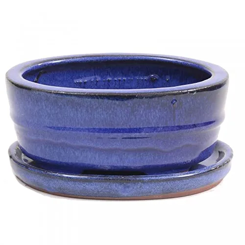 Bonsai - Schale oval, 16 x 11,5 x 6,5 cm, Blau, mit Untersetzer 23984