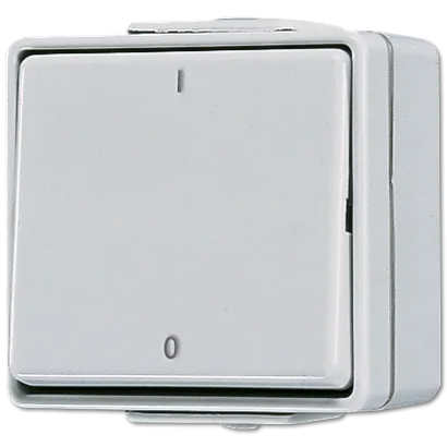 Jung 602W Wippschalter, Aus 2-polig, 10 AX 250 V ~, IP 44, WG 600