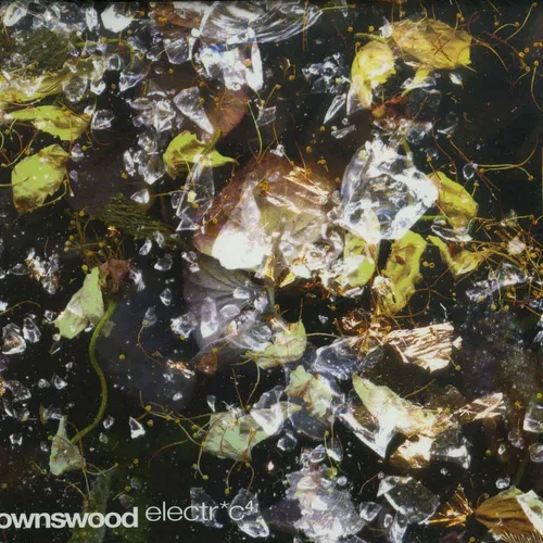 Gilles Peterson / BROWNSWOOD ELECTRIC 4 (CD) / Brownswood / BWOOD123CD / CD