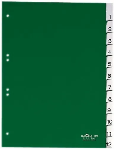 DURABLE Aktenordner Register A4 blanko 12-teilig grün