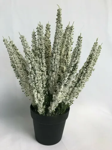 Erika im Topf - Calluna Kunstpflanze Kunstblume künstliche Erika, 27 cm creme