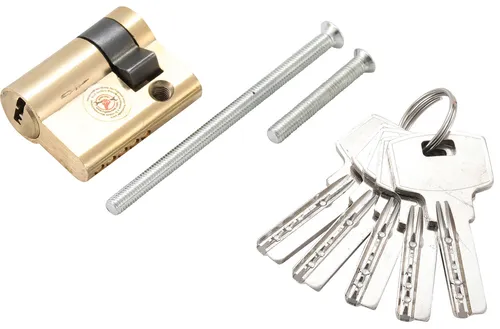 BGS Do It Yourself Garagentor-Schließzylinder 40 mm von BGS technic