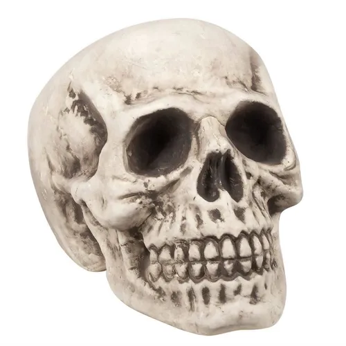 Halloween Schädel Deko Gr. L – Gruseliger Totenschädel für die perfekte Halloween-Atmosphäre - Partydekoration für Halloween, beeindruckende Größe von 23x22x31 cm für schaurige Akzente.
